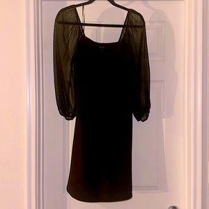 Banana Republic Sheer Long-Sleeved Dress Size Small